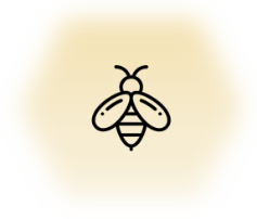 Artgerechte Bienenhaltung